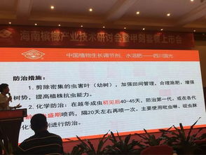 创新共赢 2018槟榔产业技术研讨交流会助力技术推广与服务升级